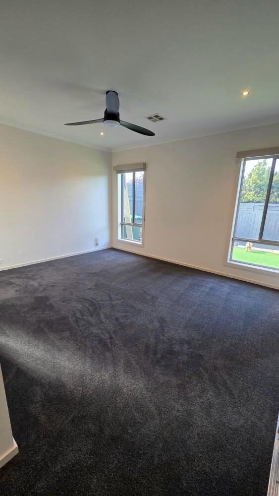 New charcoal carpet installed in a bedroom with large windows